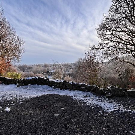 Sligo Forest Retreat المظهر الخارجي الصورة