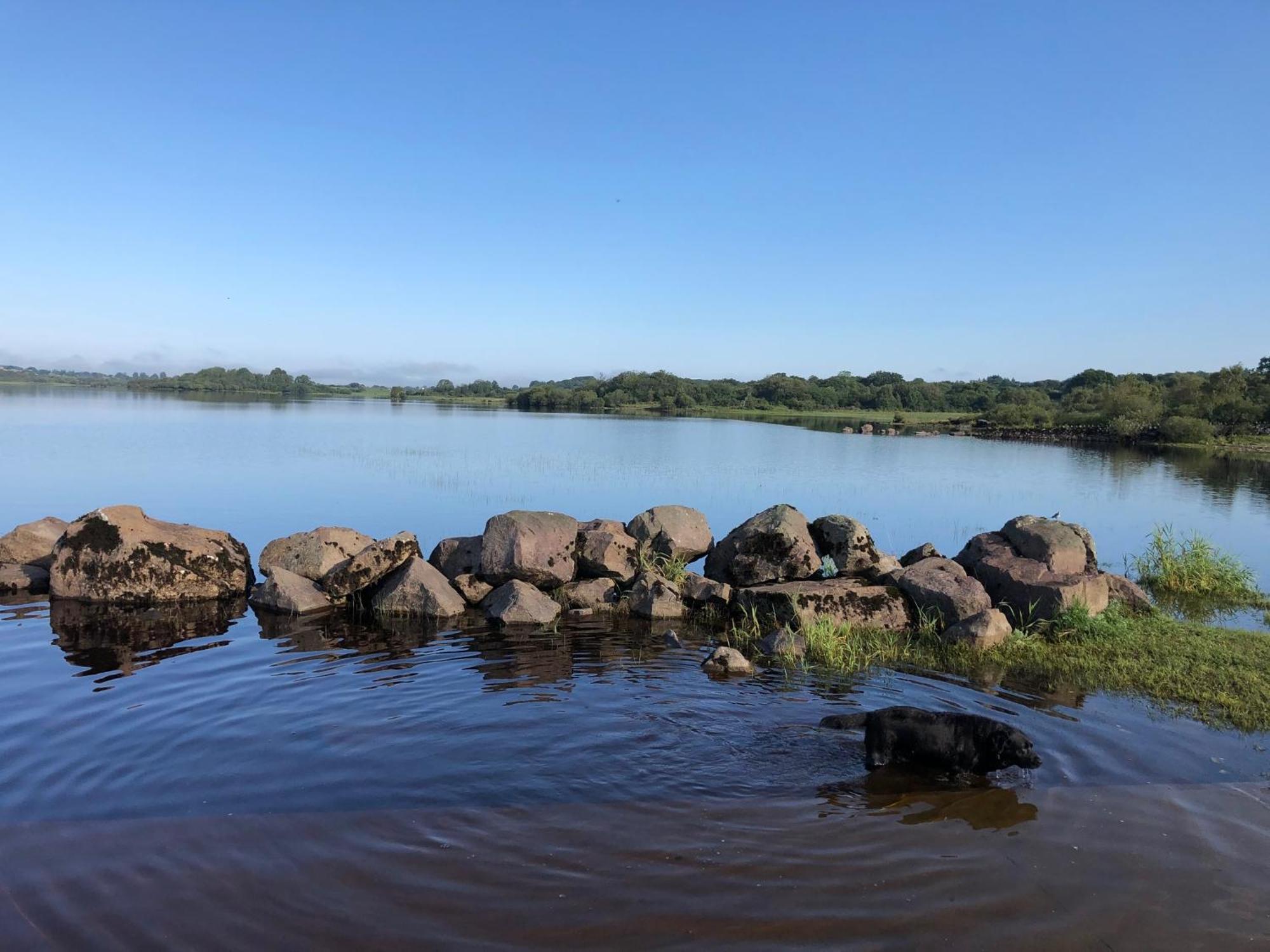 Sligo Forest Retreat المظهر الخارجي الصورة