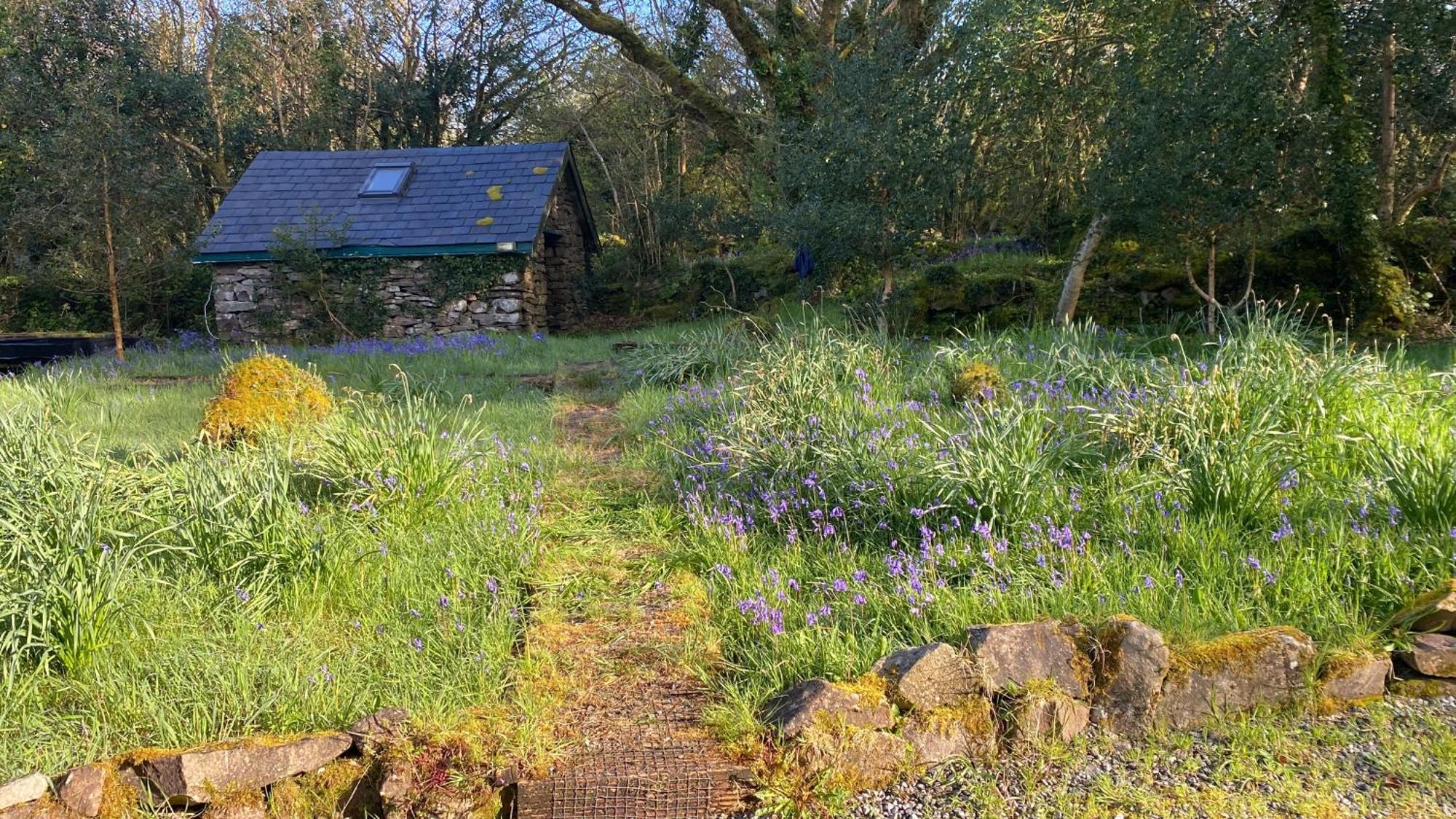 Sligo Forest Retreat المظهر الخارجي الصورة