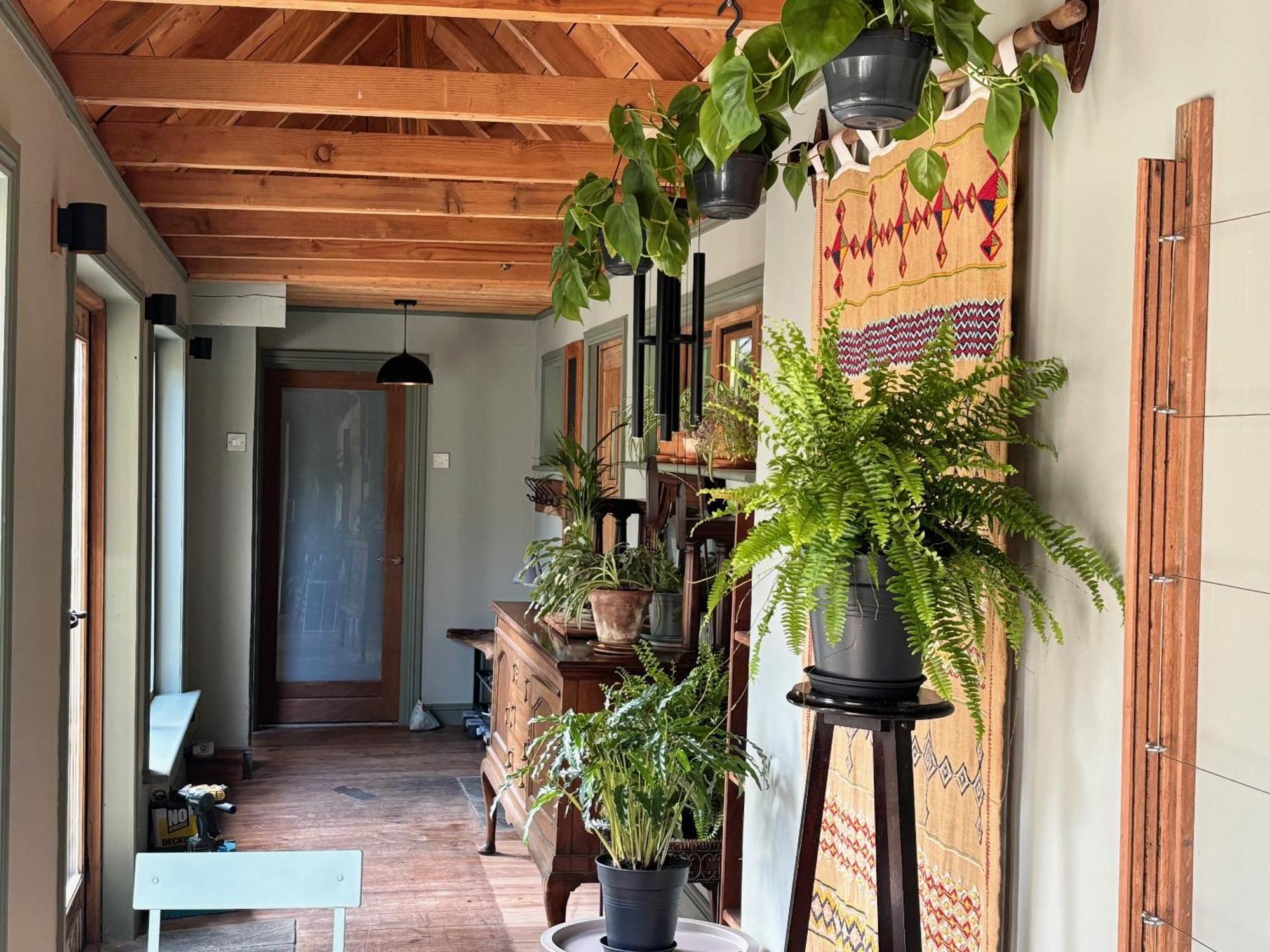 Sligo Forest Retreat المظهر الخارجي الصورة
