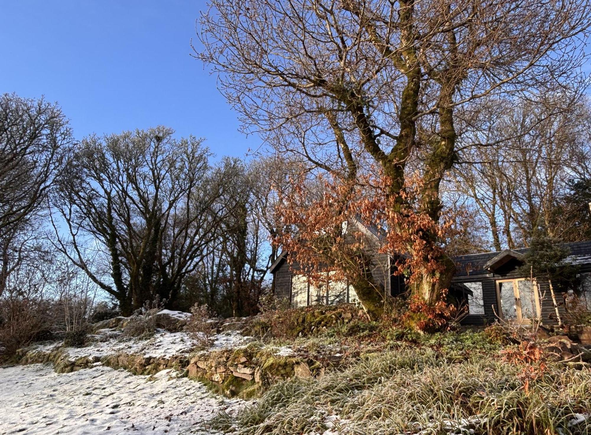 Sligo Forest Retreat المظهر الخارجي الصورة